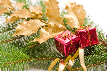 christmas decoration with golden holly