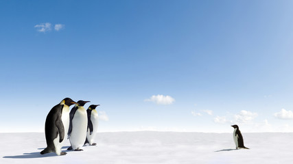 Emperor Penguins meeting Adelie Penguin in Antarctica