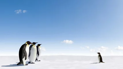 Plexiglas foto achterwand Emperor Penguins meeting Adelie Penguin in Antarctica © Jan Will