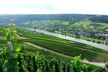 Kindel und Lösnich an der Mosel