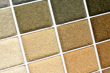 Samples of color of a carpet covering