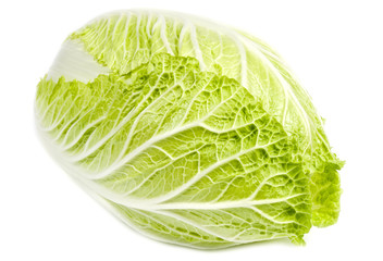 Napa Cabbage