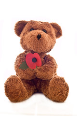 Teddy Bear holding poppy flower.