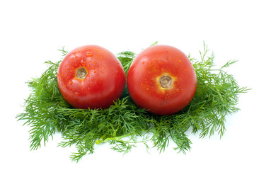 Pair of  tomatoes over some dill isolated on the white