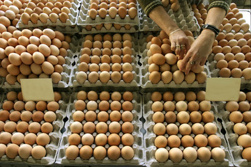 close up of eggs in egg box in market