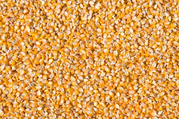 Foto op Canvas Sweet corn grain kernels background © Ints