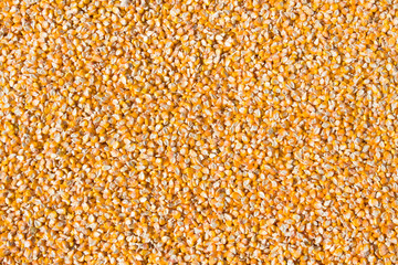 Sweet corn grain kernels detailed background