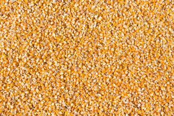 Deurstickers Sweet corn grain kernels detailed background © Ints