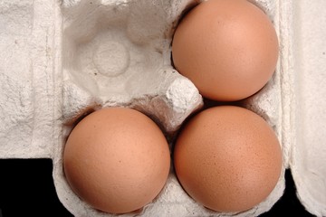 Eggs in paper box isolated on black background