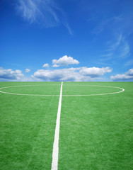 football grass background in light and shadow