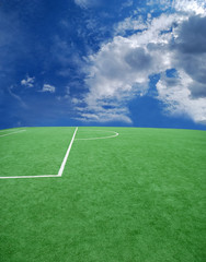 football grass background in light and shadow