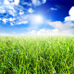 Obraz premium Grass and sky relaxing landscape