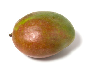 single mango isolated on white background