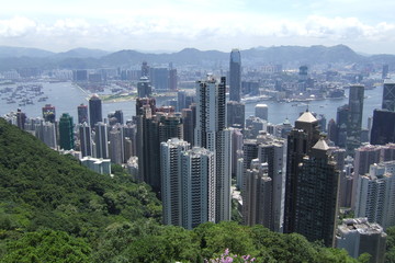 Fototapeta premium Hong kong from Victoria Peak