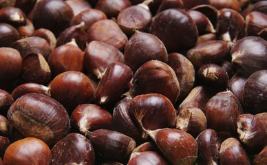 Heap of chestnuts in close up