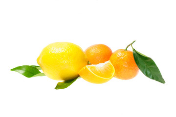 citrus fruits with leaves isolated on white background