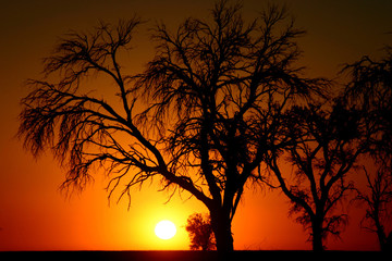 soleil couchant dans le désert du Namib 2