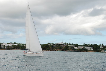 le b&acirc;teau aux voiles blanches