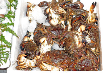 Alive Crabs In The Fish Market