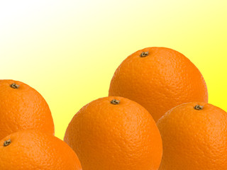 Fruit citrus an orange