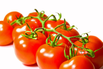 brunch of  fresh tomatoes om white background