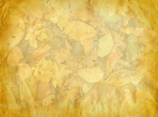 Grunge paper autumn background