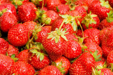 Lots of strawberries arranged as the background