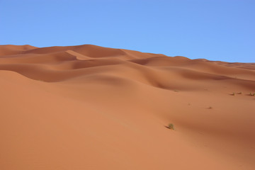 Fototapeta na wymiar dunes rose et ciel bleu
