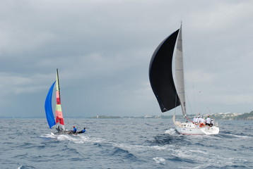 Naklejka premium sous spli noir 2