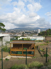 Serre dans un jardin, Marseille, France.