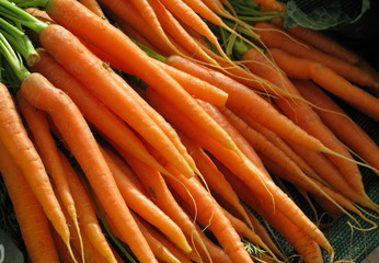 Carottes nouvelles.