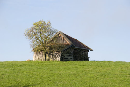 Holzh&uuml;tte auf einer Anh&ouml;he.