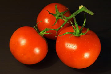 tomatoes on black background