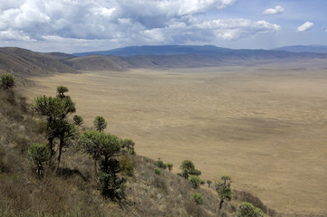 Fototapeta premium view on the Ngorongoro Crater, tanzania