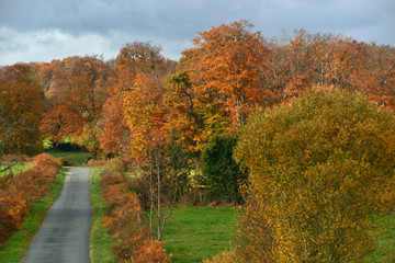 Obraz premium route d'automne