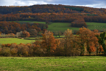 Fototapeta premium campagne d'automne
