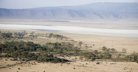 Fototapeta na wymiar View of the view Ngorongoro Crater, tanzania