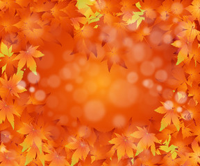 Thanksgiving Concept Illustration Image