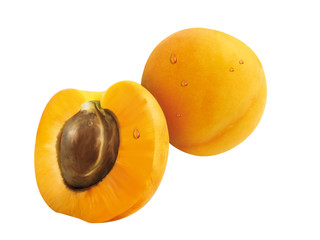 Albicocca fotoritoccata cartoon