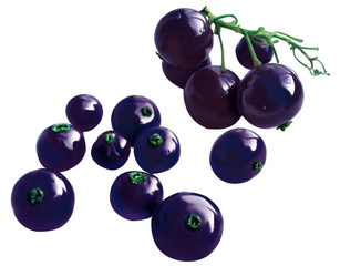 Mirtilli fotoritocco cartoon