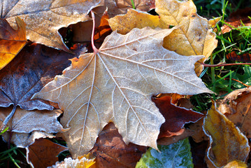 Soon the winter