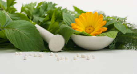 the Image of medicinal grasses and flowers