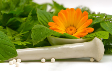 the Image of medicinal grasses and flowers