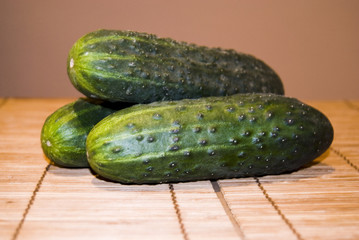Pepinos / Cucumber