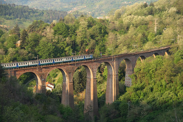 Fototapeta na wymiar ponte ferroviario 2