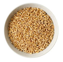 Cup of  wheat