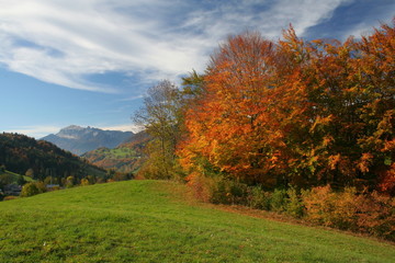 Couleur d'automne