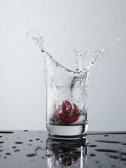 Splash