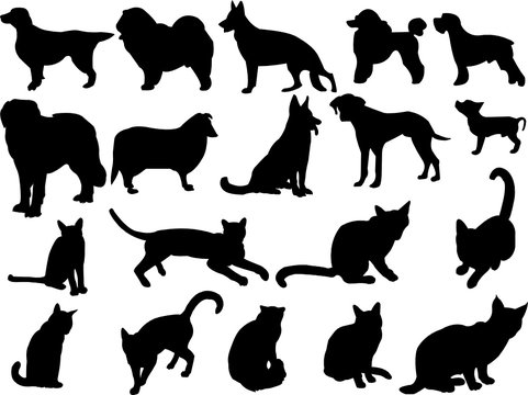 Cat And Dog - Vector