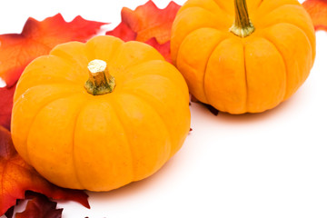 Fall leaves with orange gourd on white background, fall border